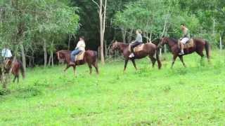 preview picture of video 'Passeio a cavalo Estância Mimosa em Bonito, MS, Brasil'
