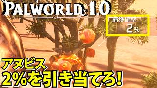 【パルワールド1.0】アヌビスお前強いだろ！2％の確率を引き当ててやる【Palworld】
