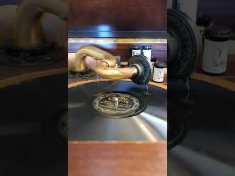 What Does It Matter-Waltz - (vocal Elliott Shaw) Nat Shilkret and the Victor Orchestra