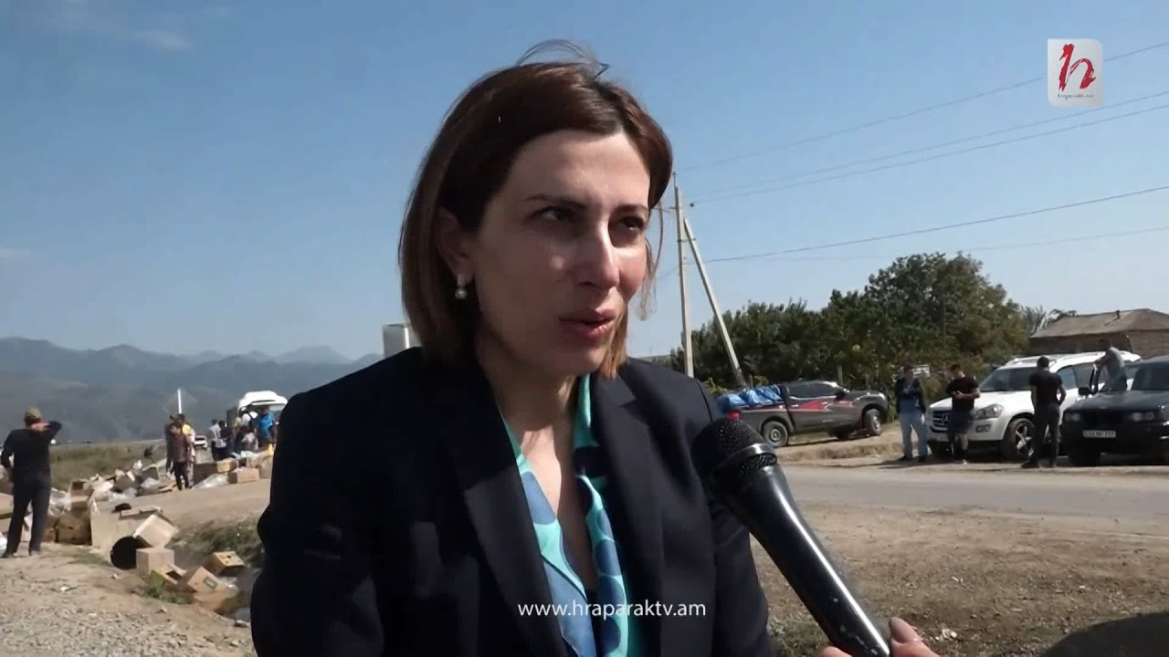 Ցավագին դեպքեր են եղել, ճանապարհին մահեր են եղել. Ավանեսյան