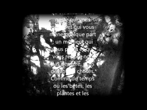 Tarkovsky Quartet - A Celui Qui a Vu l'Ange