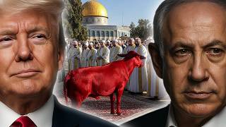 The Third Temple Will Be Rebuilt in Jerusalem — And the Antichrist Will Sit Inside