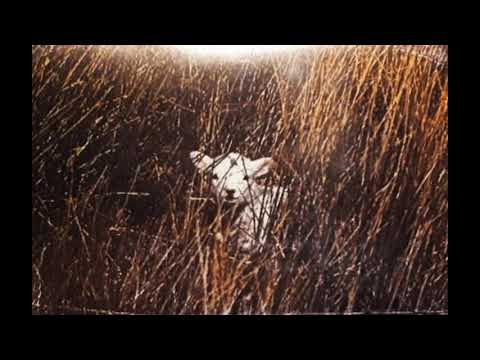 Carnyx (UK) - Unforgiving Nature (Demo 2018)