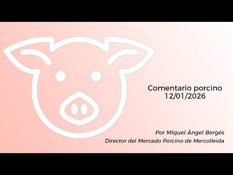 Comentario porcino - 12/01/2026