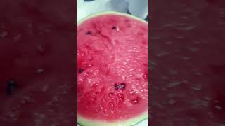 #whyteacher #행복한피자빵 #watermelonchallenge #윤정아 #왜요쌤 #수박챌린지 #yoonjungah #gachaclub #roblox #스틱파이터스토리작