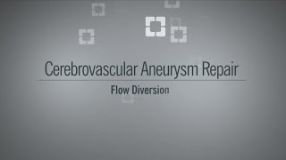 Aneurysm Flow Diversion