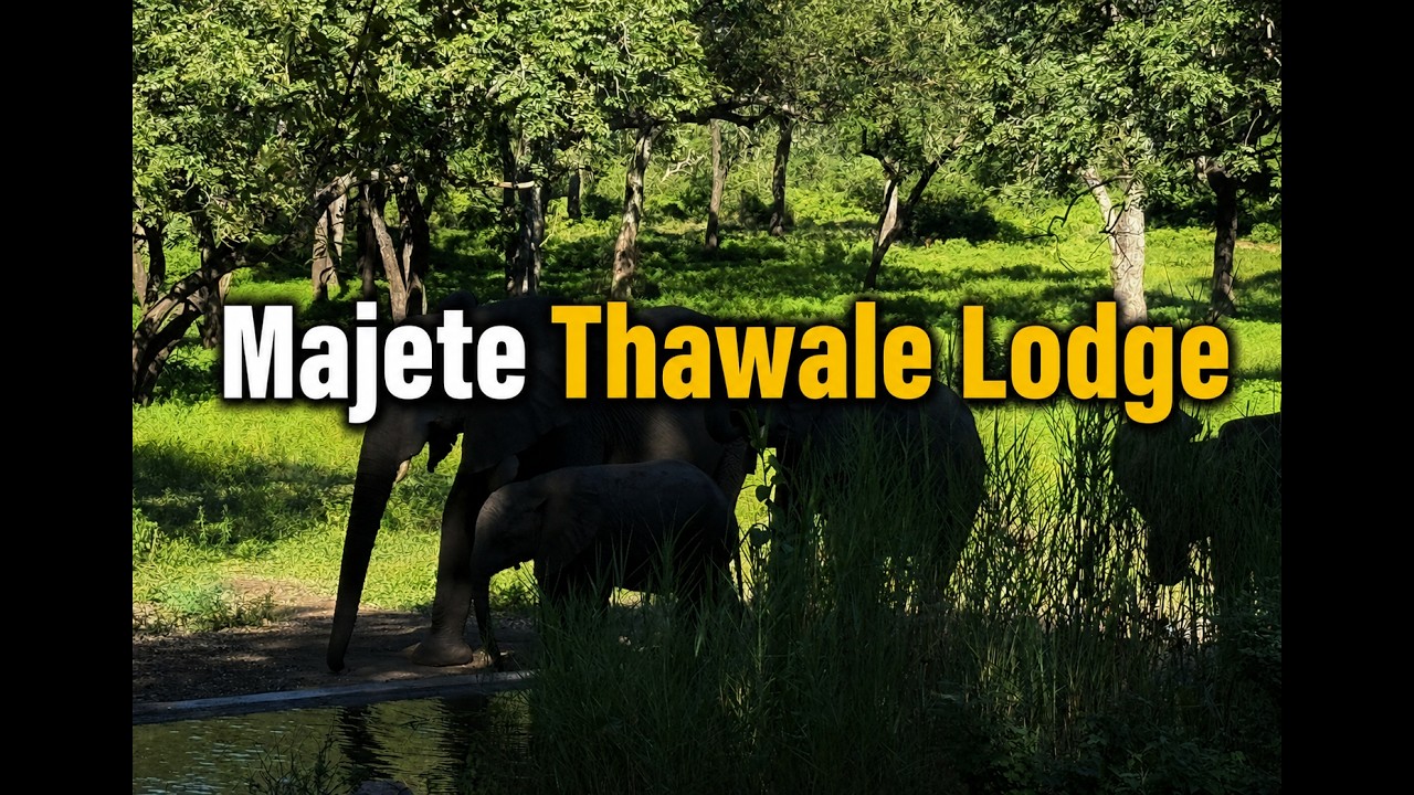 Live webcam view of Thawale Lodge Waterhole
