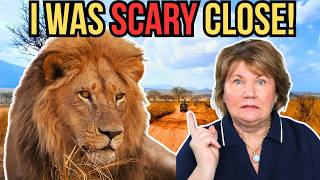 I Got This Close to a Wild Lion on My African Safari (Never Expected This) 🦁