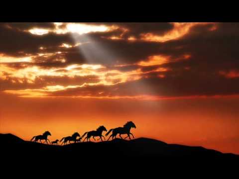 Ngựa hồng (Rong ca 9) - Duy Quang