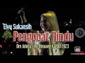Pengobat Rindu Elvy Sukaesih Om Adella Live Binuang Kalsel 2023