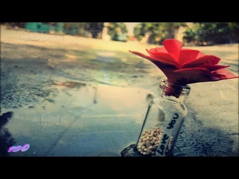 DT8 Project - Forever In A Day (Koishii & Hush Vs. Ric Scott Remix)