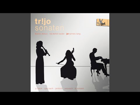 Sonata in G Minor, BWV 1029 (Arr. tr!jo for Recorder, Viola da Gamba & Continuo) : I. Vivace
