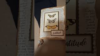 Catch up Gratitude Fridays/Reality of Breast Cancer Daphnes Diary Spoken for already