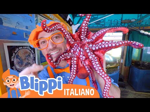 Imparare a conoscere gli animali marini con Blippi | Blippi in Italiano |Video educativi per bambini
