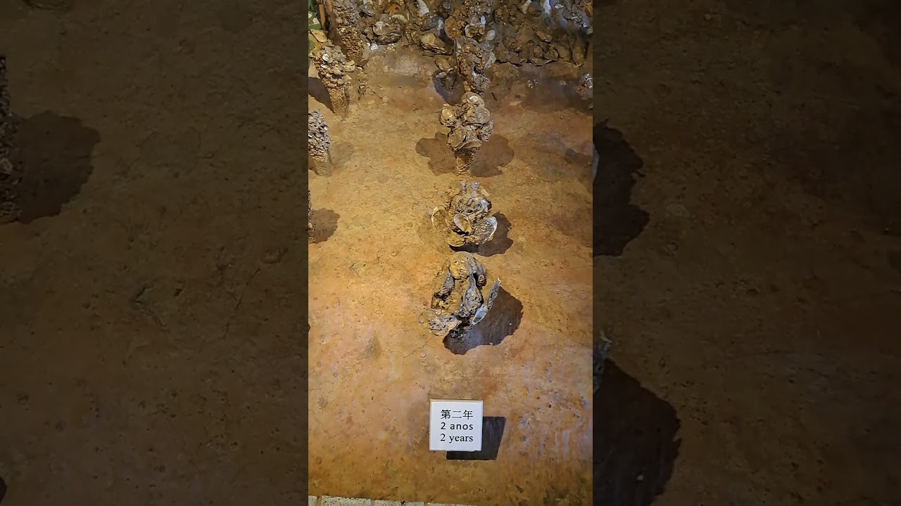 YouTube Short thumbnail