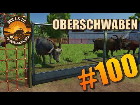 FINALLY goats and a special guest in the XXL birthday edition 🎉🎂 LS25 Breakfast Farm #100