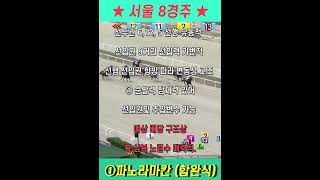 [이 마필을 주목하라] 6월6일 서울 8경주~ 복승식.삼복승식 매력적!!#shorts