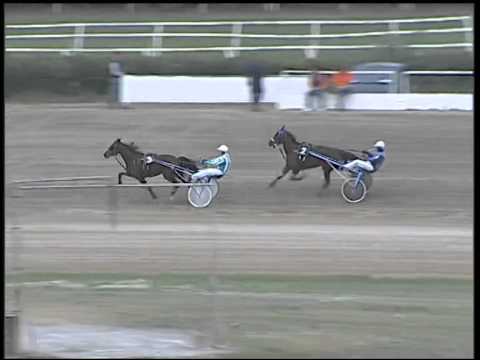 Trotto 26/10/2014 - 3° prova di qualifica e riqualifica