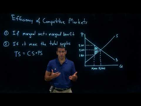 The Efficiency of Competitive Markets