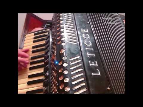 Sanfona Sentida - Dominguinhos