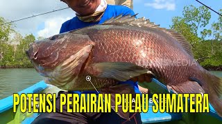 Download lagu POTENSI PERAIRAN PULAU SUMATERA | MANCING MANIA STRIKE BACK (20/07/25) mp3 Download lagu POTENSI PERAIRAN PULAU SUMATERA | MANCING MANIA STRIKE BACK (20/07/25) mp3