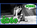 Jeevitham Telugu Video Songs Telugu Songs Vyjayanthimala Telugu Movie Bazaar