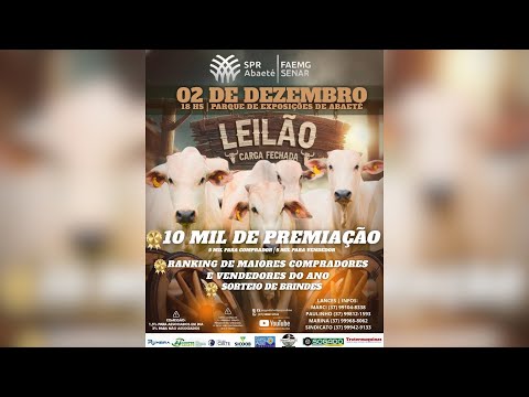 LEILÃO CARGA FECHADA DO SINDICATO DOS PRODUTORES RURAIS DE ABAETÉ/MG - 02/12/2025