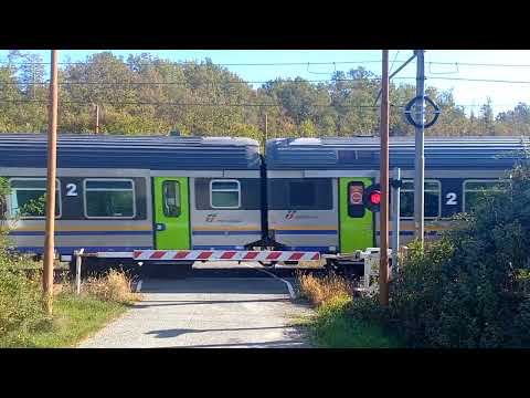 Passaggio a livello Spigno Monferrato (AL) Regione Lovesi - Level crossing - Bahnübergang