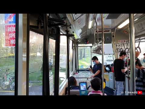 SMRT Buses: Mercedes-Benz OC500LE (SMB116K on Service 985)