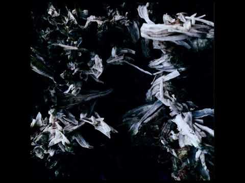 Peryl Live at Lehmann Club, May 27 2022