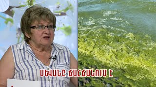 Առավոտը Շանթում-«ԷկոԼուր» տեղեկատվական ՀԿ-ի նախագահ, բնապահպան - Ինգա Զարաֆյան