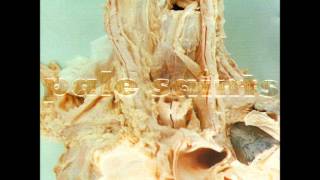 Pale Saints - Hair Shoes (demo)