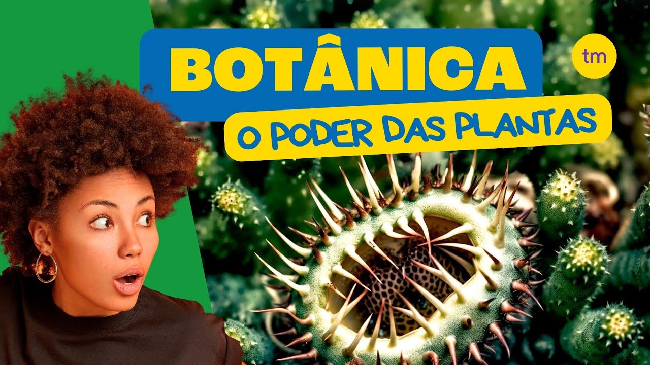 BOTÂNICA em 4 Minutos!