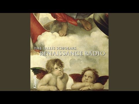 Palestrina: Sicut Lilium Inter Spinas