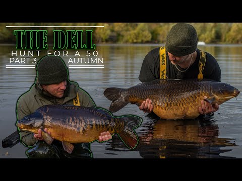 THE DELL - HUNT FOR A 50 - PART 3 - AUTUMN