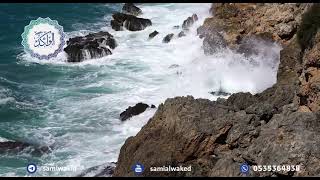 حكم لعبة الشيش || فتاوى عامة || د. سامي الواكد image