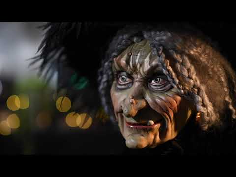 Katherine’s Collection Life-size Midnight Witch | Grandin Road