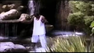 Space Frog - I Feel Your Pain 1997