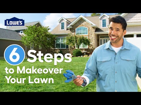Lowes Grass