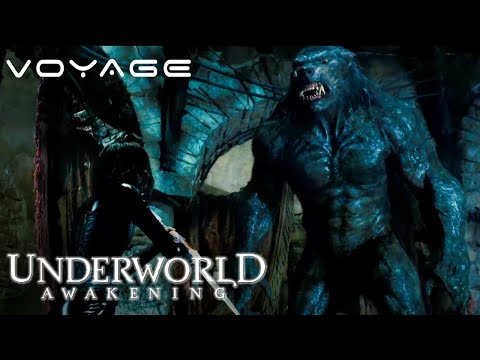 Underworld Awakening | Selene vs. Super-Lycan | Voyage