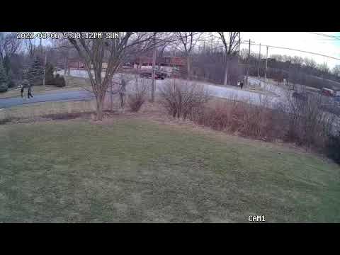 5 KIDS CROSS ROAD, CAR SPEEDS UP TO 55MPH