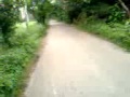 Naure 2 Video