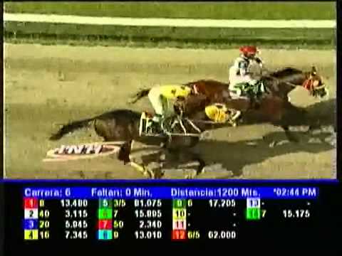 Resumen Domingo, 19 de Enero de 2014 - La Rinconada