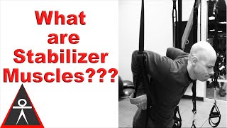 What Are "Stabilizer Muscles?"