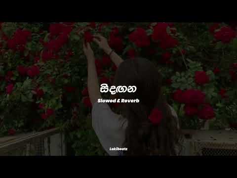 Sindagana | සිදඟන (slowed+reverb)