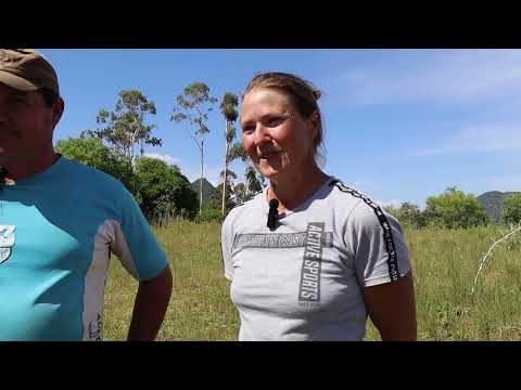 Paraíso do Sul recebe primeiro diagnóstico do programa Terra Forte na Região Central - RG Rural