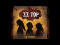 ZZ Top- I don't wanna loose,loose  you
