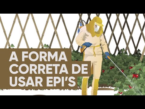 A forma correta de usar os Equipamentos de Proteção Individual