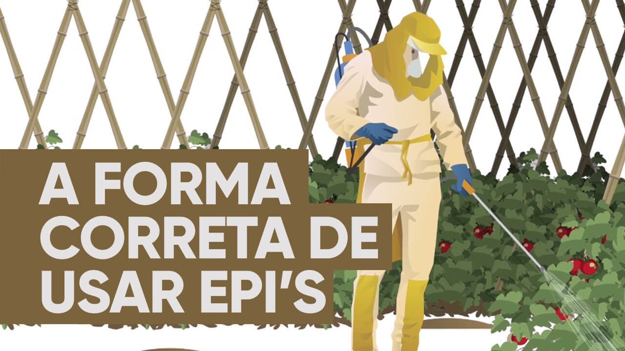 A forma correta de usar os Equipamentos de Proteção Individual