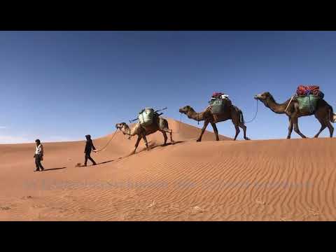 Sahara tour in Zagora Morocco with nomads team